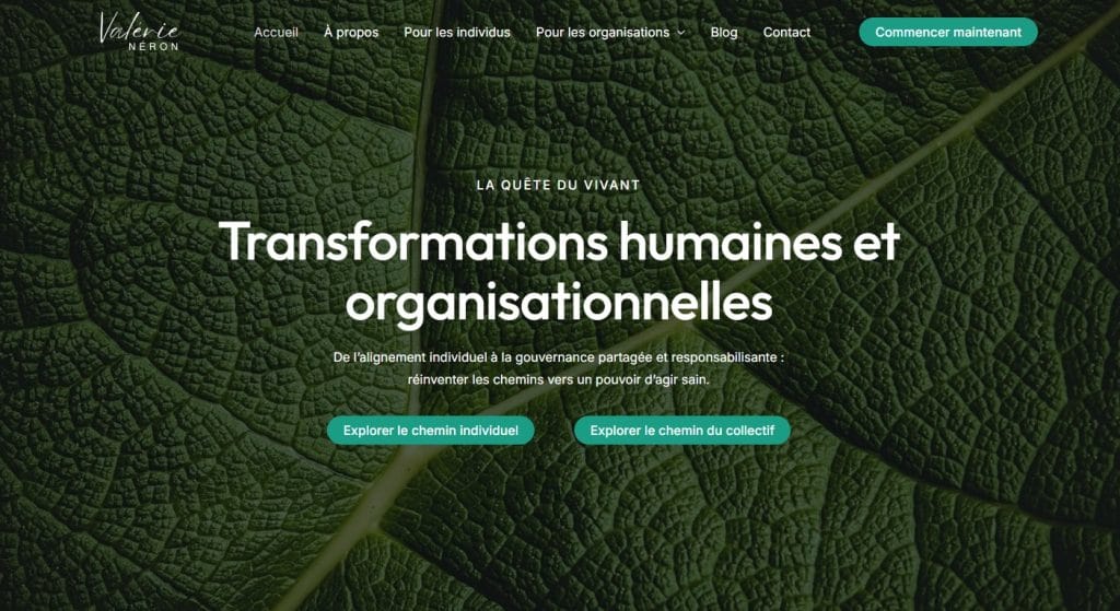 Page d'accueil du site web de Valérie Néron